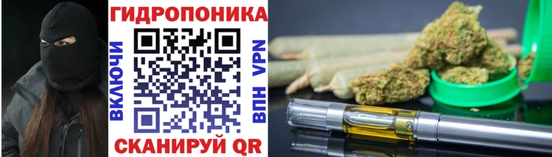 Виды наркоты Себеж Канабис  МЕФ  Cocaine  АМФ  Гашиш 
