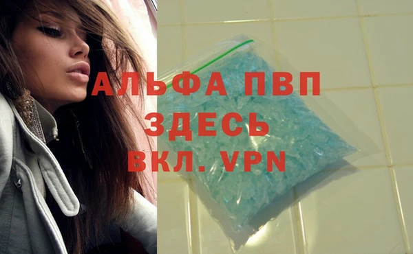 spice Баксан