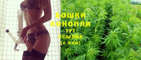 трава Балахна